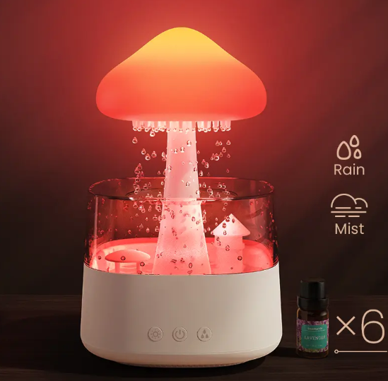Rain Cloud Humidifier+6 Fragrance Oils